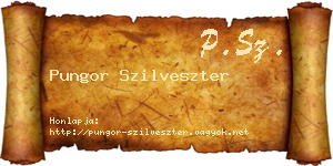 Pungor Szilveszter névjegykártya